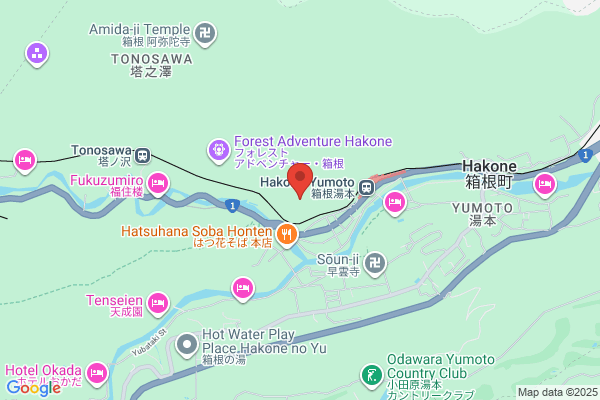 Hakone Mini Golf Club