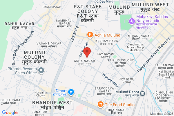 Indus Theco P Ltd