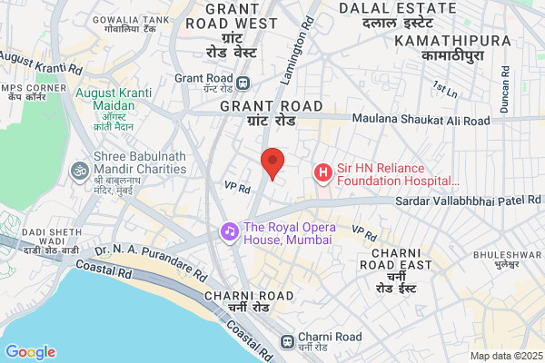 Paras Elect.