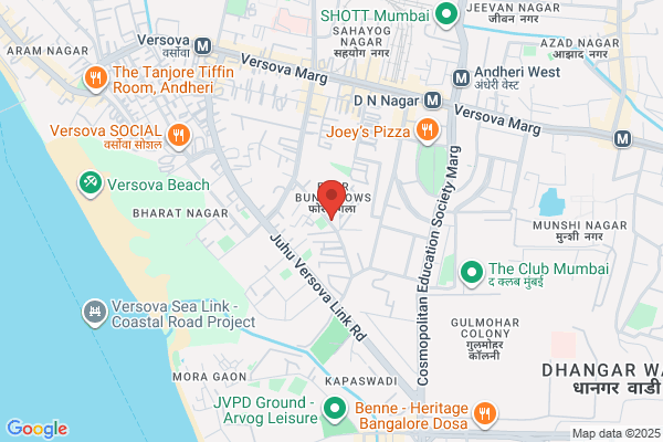 Veevees Trade Impex India P Ltd