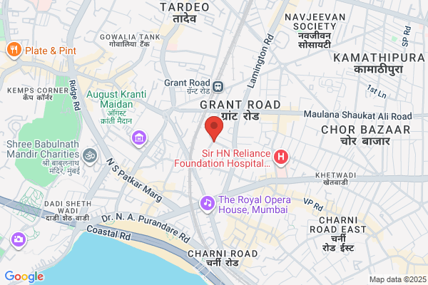 S V Ramesh Auto Electricals