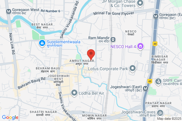 A1 Auto House