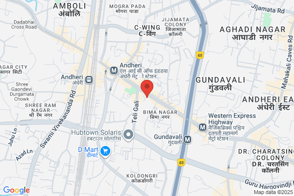 Anuja Pharmaceuticals P L