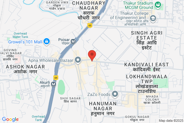 Punjab & Maharashtra Cooperative Bank Lt