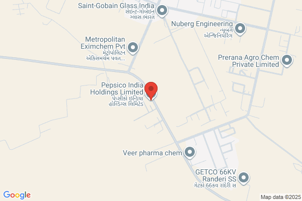 Pepsico India Holdings L