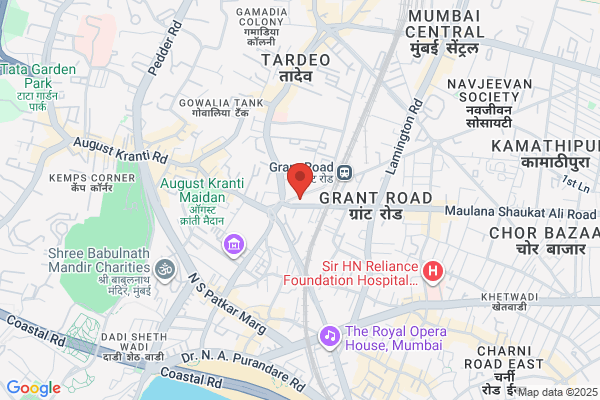 Laxmi Mortar Mill