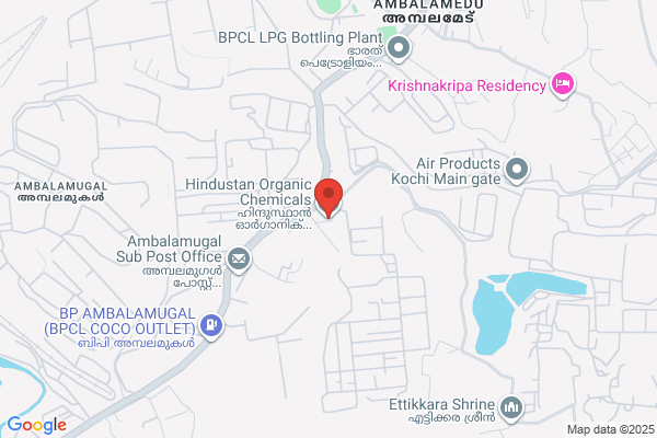 HINDUSTAN ORGANIC CHEM