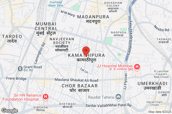SHREE SHANTINATH SHIPPING AGENCIES