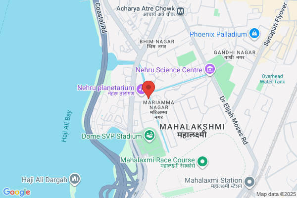 DYNASTY CULTURE CLUB