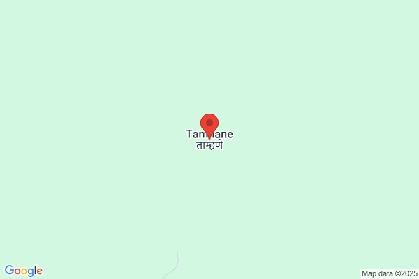 SHEKHAR TAMHANE