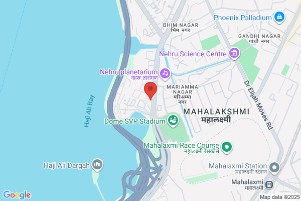 ANUH PHARMA LTD,