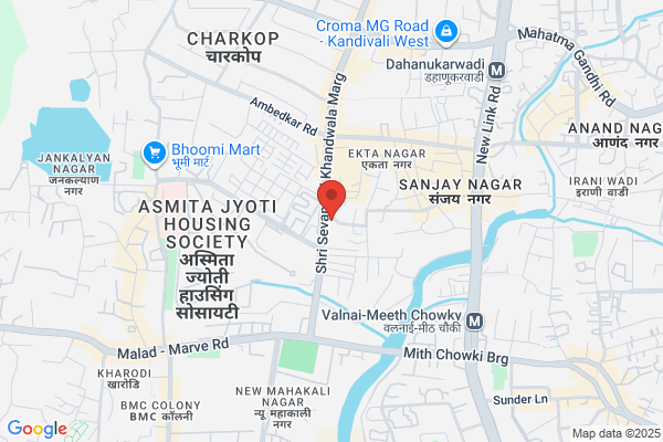 CHOUDHARY & CHOUDHARY (INDIA) LTD