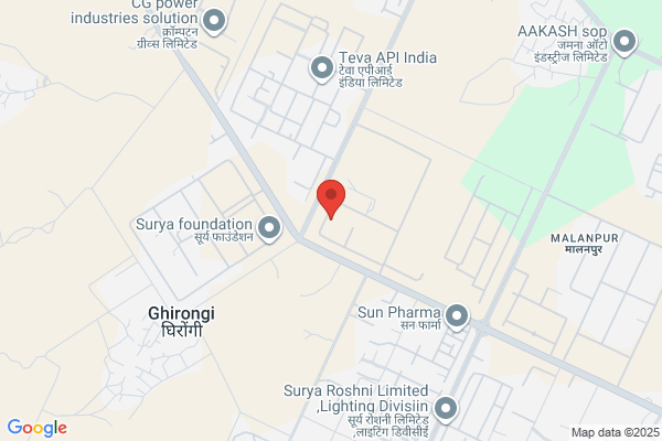 PUNJ LLOYD LIMITED