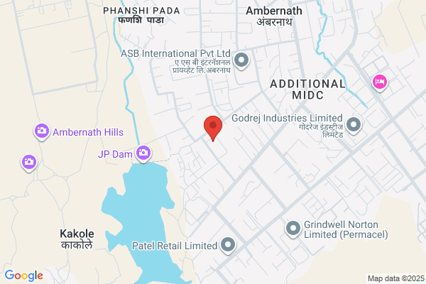 MACAWBER ENGINEERING SYSTEMS INDIA P LIMITED