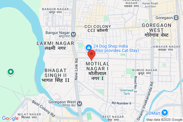 Ekta Digital Services