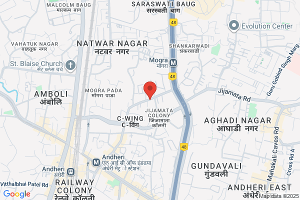 PANDYAS COURIER SERVICES PVT. LTD.