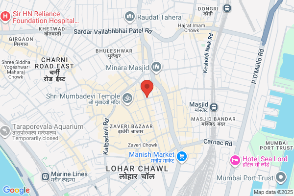 INDIAN EXPRESS COURIERS