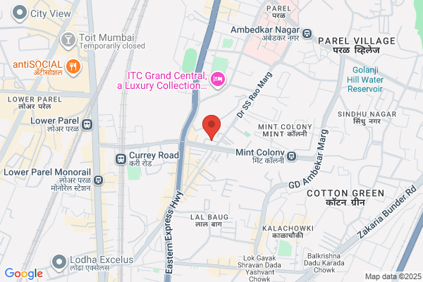 CENTRAL EXCISE CONSULTANCY