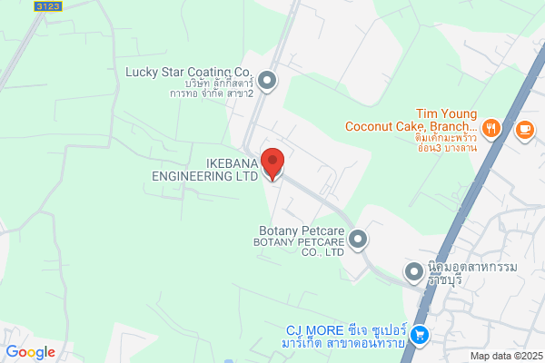 Ikebana Electronics P Ltd