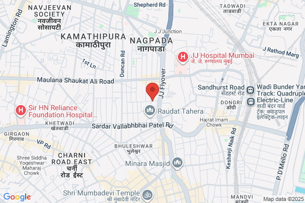 Babaji Travels
