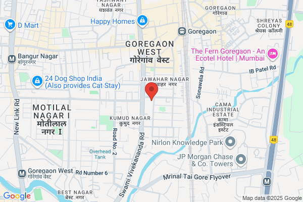 Super (India) Services