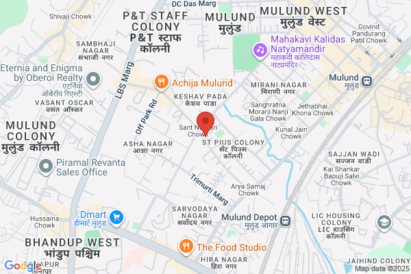 Delhi Ka Mashoor Chatwala