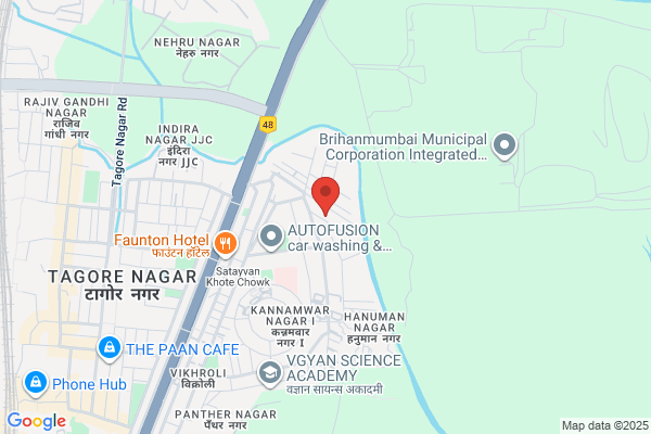 N V Goyal & Associates