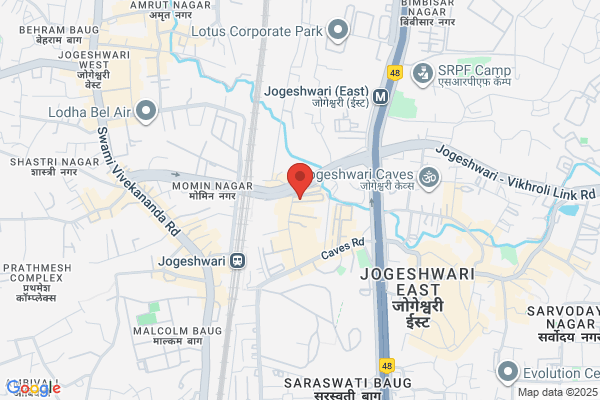 Shreeji Duchem Industry