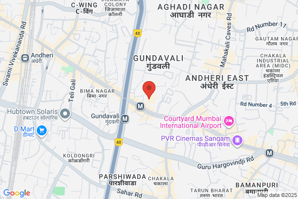 Indenta Chemicals India P L