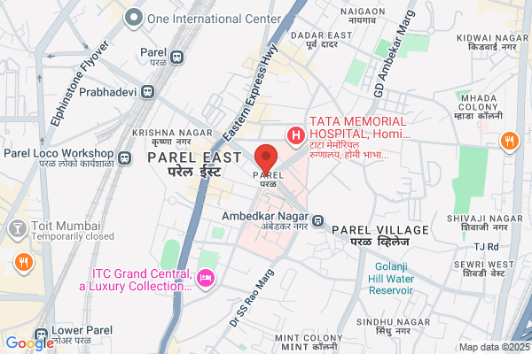 The Parel Chemists
