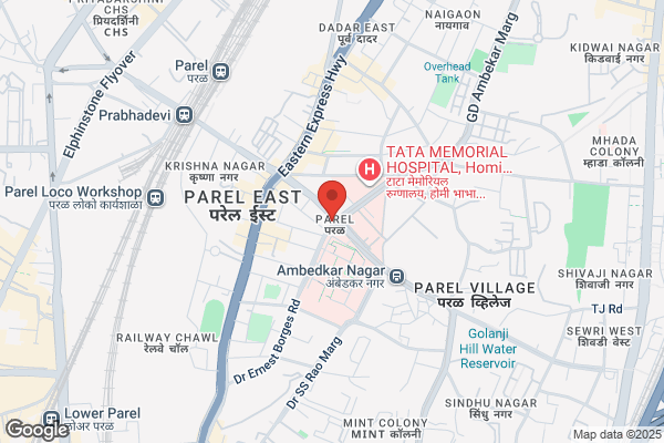 Parel Chemist Parel H O