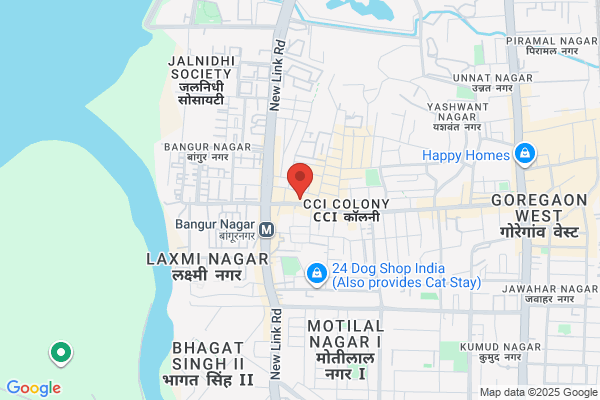Vijay Classes
