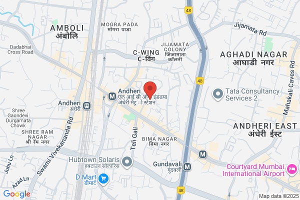 Network Institute