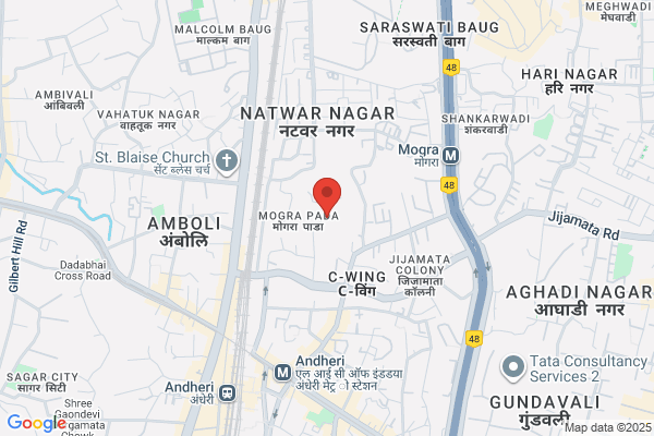 Ruchi Infotech