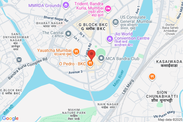 Nucleus Netsoft & Gis India Ltd
