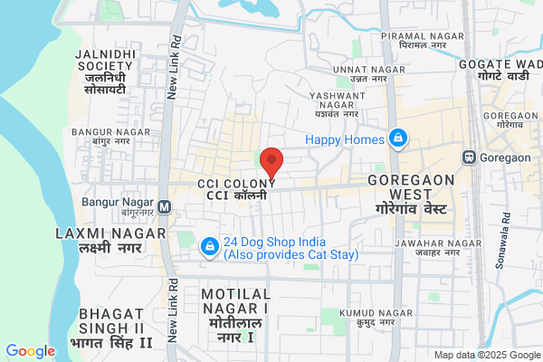 BHATIA COMPUTER SERVICES