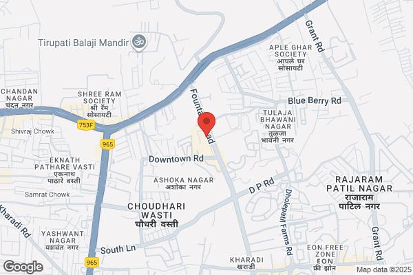 MD Consultant P Ltd