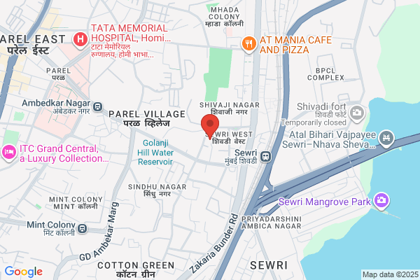 Metal Analysis & Services P Ltd