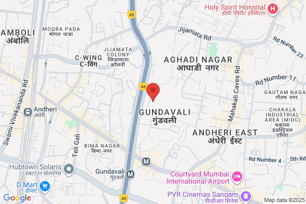 Tata Services Ltd