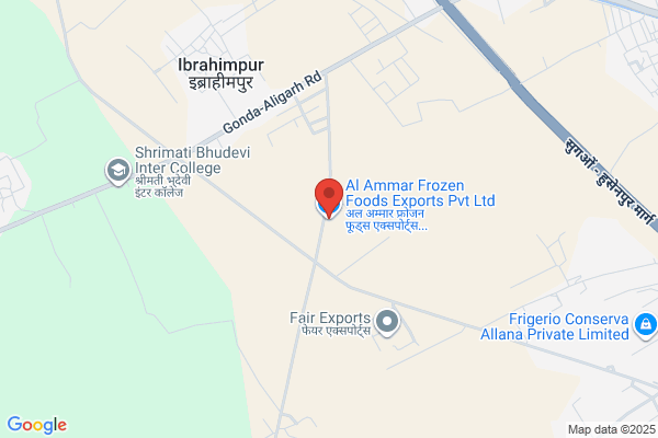 AL Ammar Belting Exports Ltd