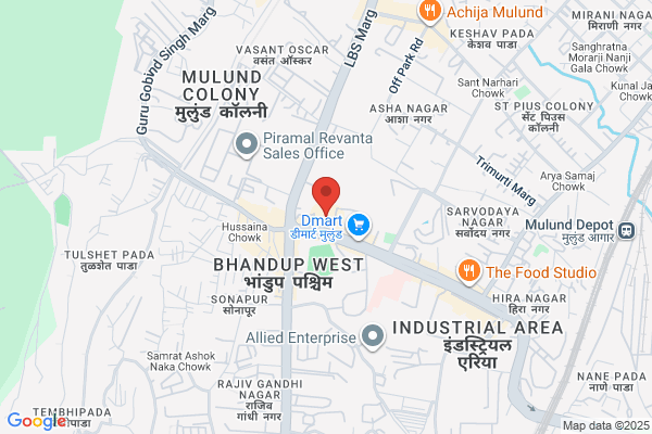 SHREE PRABHADEVI DYES & CHEMICALS CO P LTD