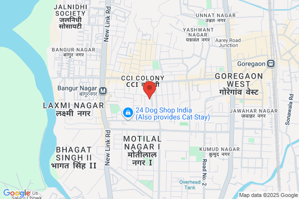 Anjali Dental Clinic