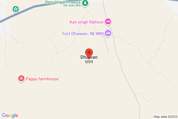 D M Dhawan