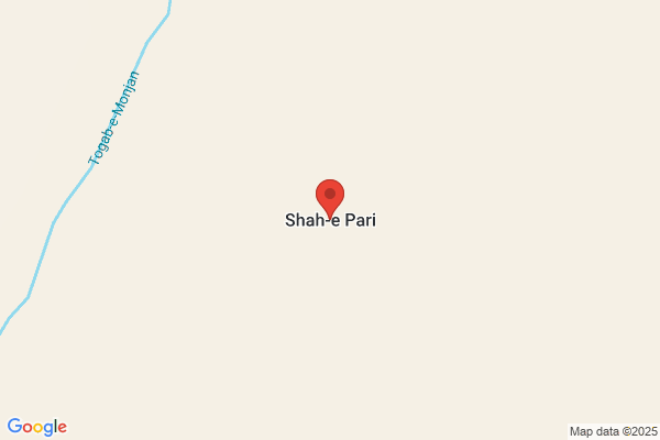 Pari Neelang Shah