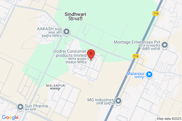 Godreej Food & Soaps Ltd