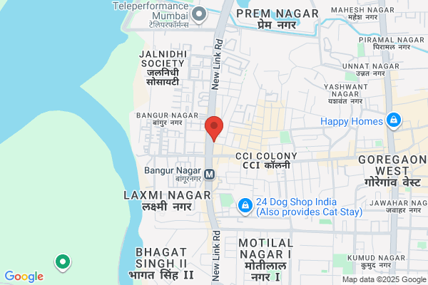 RVD Tutors - Private Home Tutors | Home Tuition In Goregaon