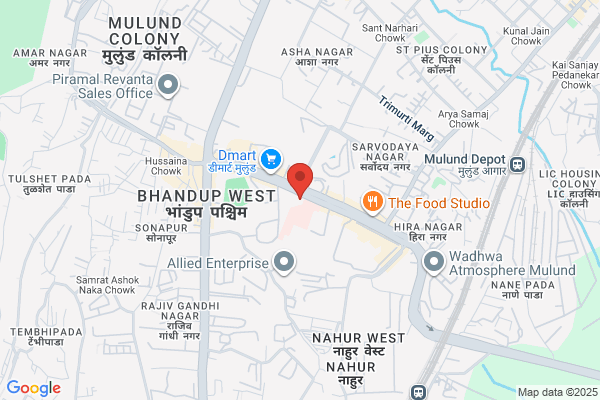 BLUE STAR ELEVATORS (INDIA) LIMITED