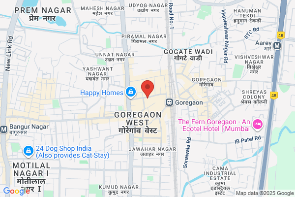 Bombay Paints & Electric Mart
