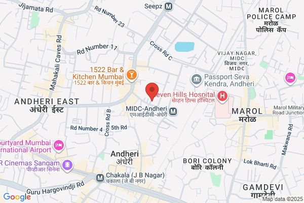 Hindustan Motor Mfg Co