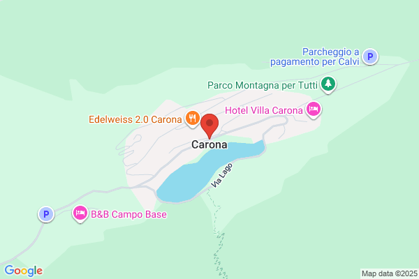 CARONA LTD.